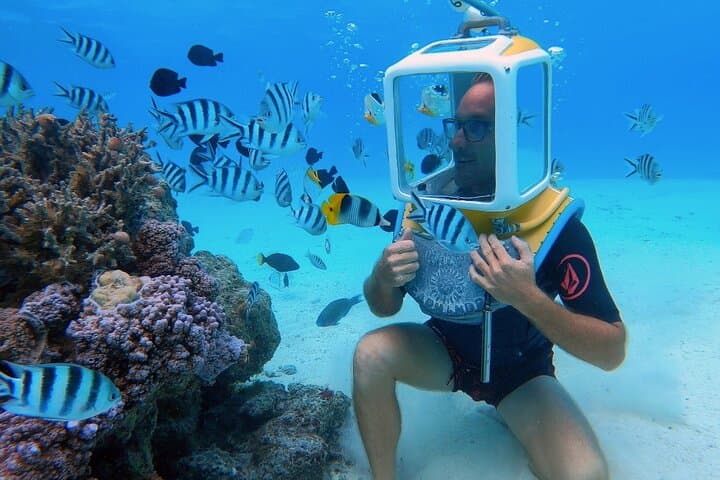 Bora Bora Aqua Safari: Private Helmet Diving in Coral Gardens