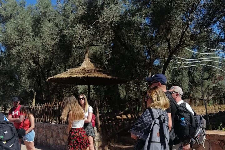 Ouzoud Waterfalls Day Trip from Marrakech — Swim, Walk & Boat photo 3