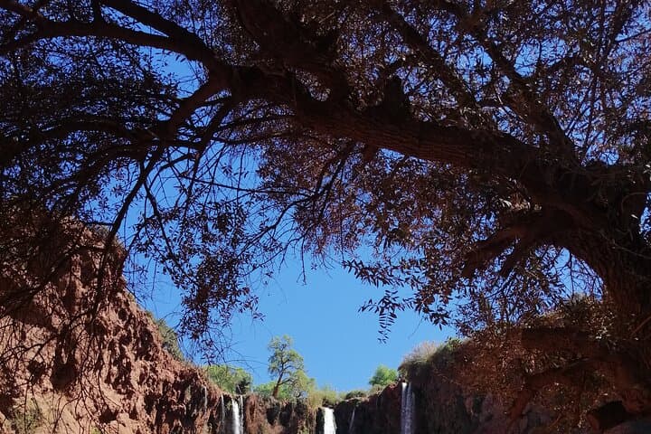 Ouzoud Waterfalls Day Trip from Marrakech — Swim, Walk & Boat photo 4