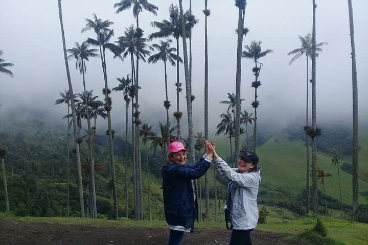 Cocora Valley to Filandia: Full-Day Private Tour of Salento & Coffee Region photo 6
