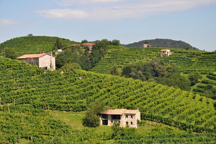Explore Prosecco Village & Štanjel: Karst Wine Tour from Trieste photo 6