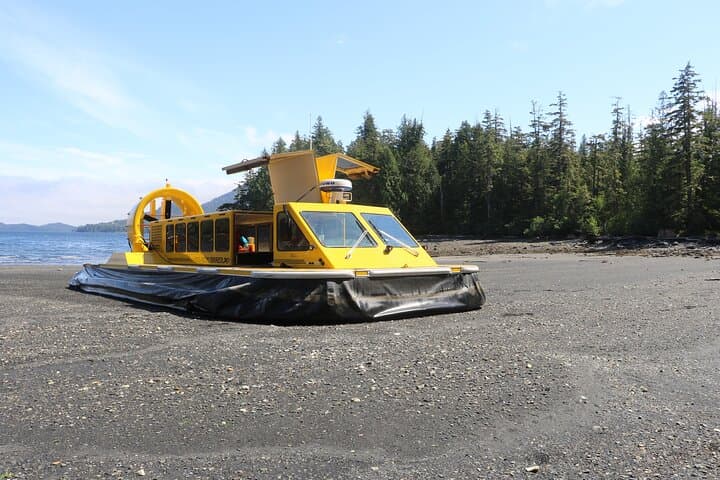 Ketchikan Hovercraft Eco Adventure — Beach Landings & Wildlife Viewing photo 5