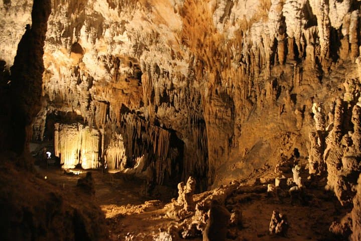 Lipica Stud Farm and Skocjan Caves Day Trip from Koper — Lipizzans & Karst Caves photo 3