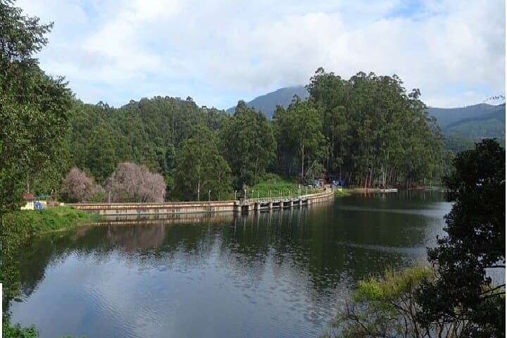 Munnar Overnight from Cochin: Tea Estates, Waterfalls & Echo Point photo 5