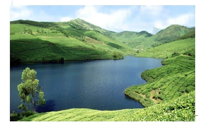 Munnar Overnight from Cochin: Tea Estates, Waterfalls & Echo Point photo 6