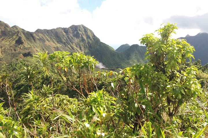 Boiling Lake Hike — Morne Trois Pitons UNESCO Adventure photo 6