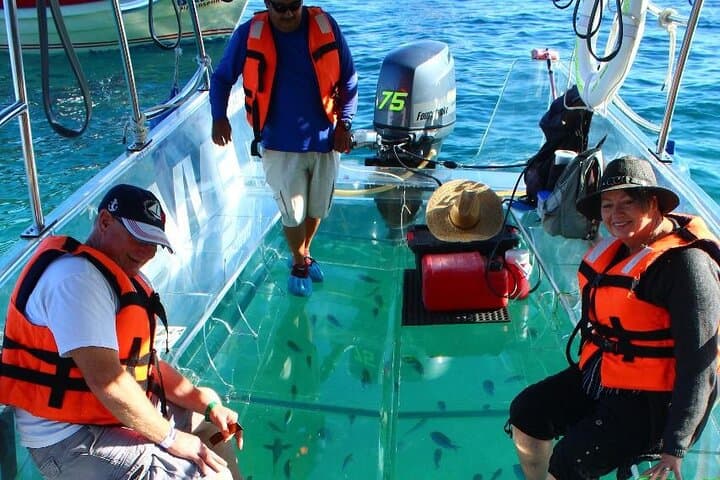Two Capes City Tour Los Cabos: Lands End, Arch & San José del Cabo in 4 Hours photo 4