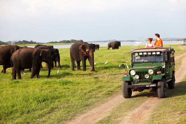 12-Day Semi-Luxury Sri Lanka Tour — Culture, Wildlife & Beach Escapes photo 5