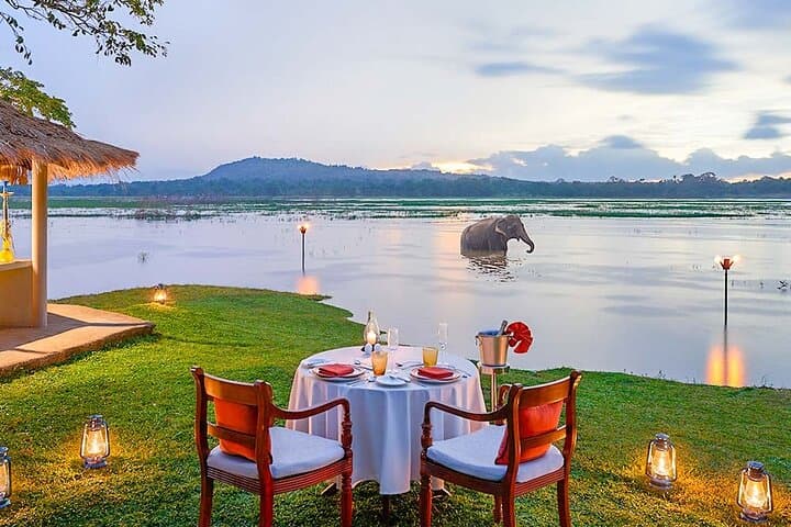 10-Day Dream Path of Sri Lanka: Private Cultural, Tea-Country & Wildlife Tour
