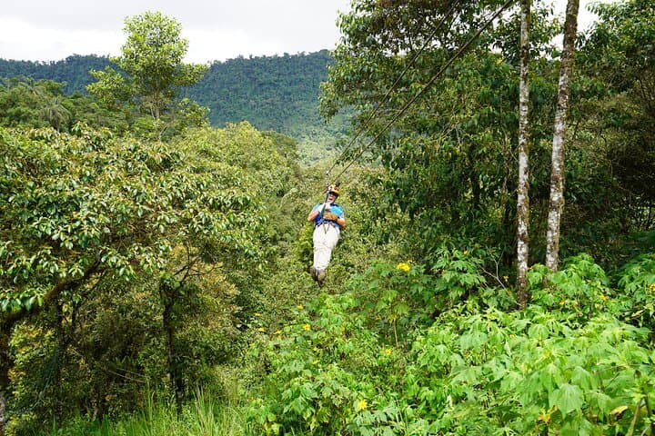 Full-Day Mindo Cloud Forest Tour: Birding, Waterfalls & Hummingbirds from Quito