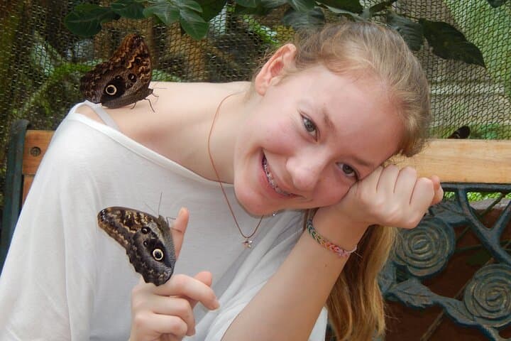 Full-Day Mindo Cloud Forest Tour: Birding, Waterfalls & Hummingbirds from Quito photo 3