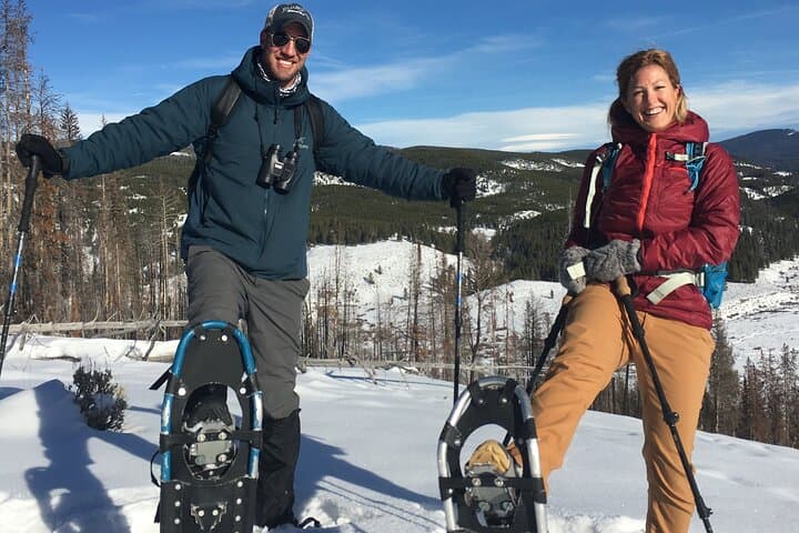 Exploring Yellowstone on Snowshoes: A Private Winter Safari from Bozeman