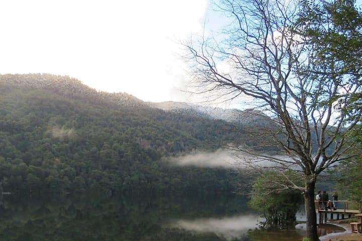Trekking Huerquehue: Day Hike Through Araucaria Forests and Mountain Lagoons photo 4