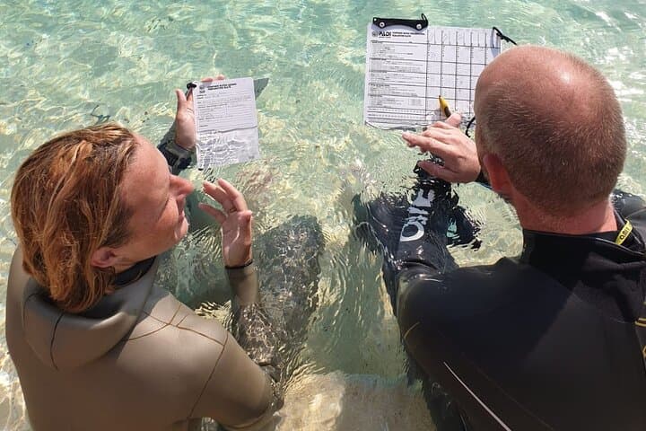 Dubai Freediving Course & Gear Rental — Beginner Freediving Experience photo 3