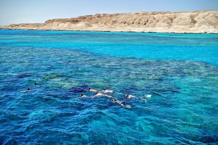 Day Yacht: Snorkel Ras Mohamed & White Island from Sharm El Sheikh photo 4