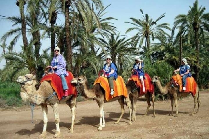Marrakech Palmeraie Quad Biking & Camel Ride — 2-Hour Oasis Adventure photo 4