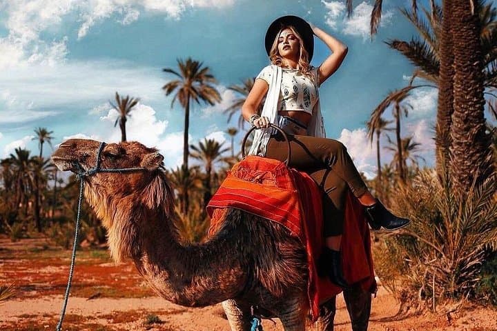 Atlas Mountains & Camel Ride Day Trip from Marrakech — Imlil Valley, Berber Villages & Waterfalls photo 3