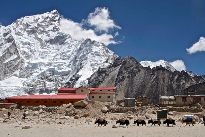 12-Day Everest Base Camp Trek: Tea-House Route to 5,564m photo 4