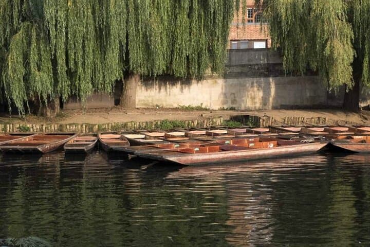 Private Cambridge Punting Tour: Chauffeured River Cam College Backs Experience photo 3