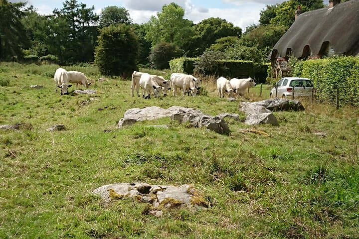 Stonehenge, Avebury & West Kennet Long Barrow: Day Trip from Salisbury photo 3