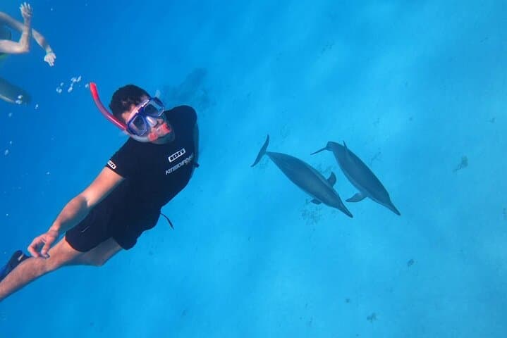 Sataya Dolphin House Snorkel Trip — Swim with Spinner Dolphins off Marsa Alam photo 4