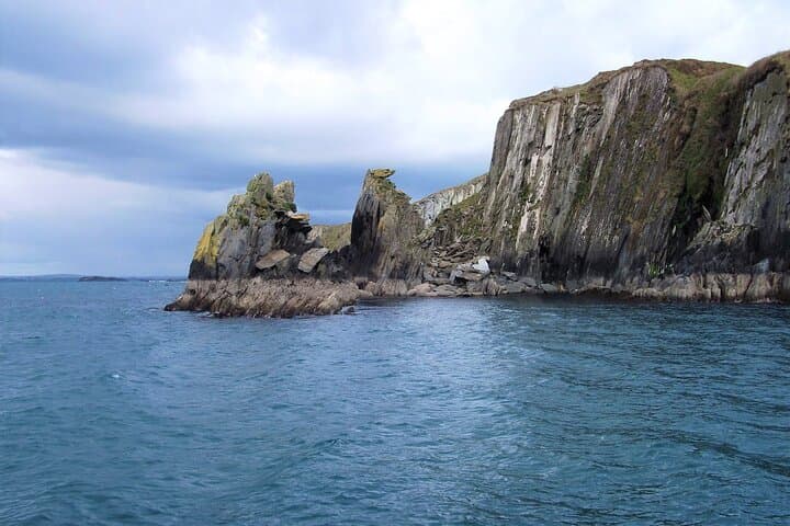 Fastnet Rock Lighthouse & Cape Clear Island Day Tour from Baltimore, West Cork photo 3