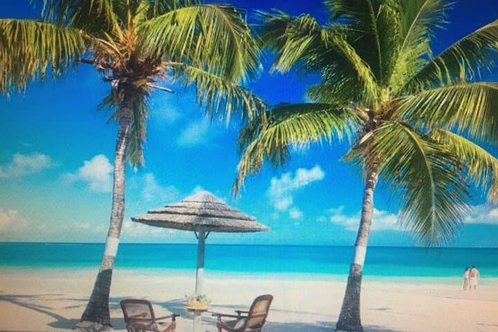 Explore Antigua’s Stunning Beach Crawl: Long Bay, Devil's Bridge & Pigeon Point photo 5