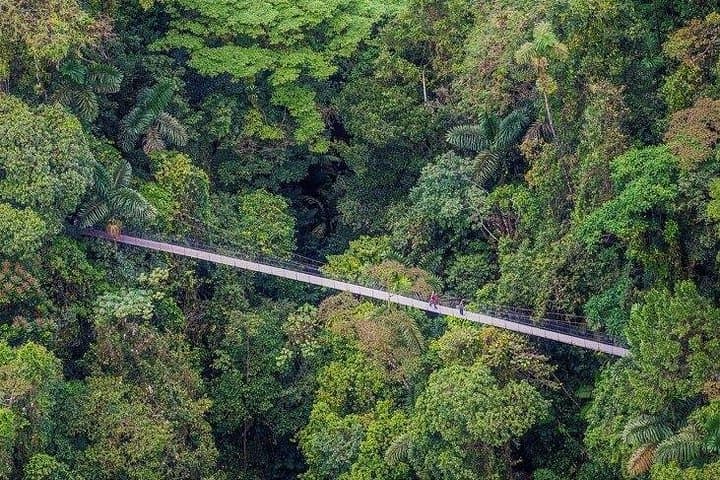 Full-Day Arenal Volcano Experience: Hanging Bridges, La Fortuna Waterfall & Lava Walk photo 1