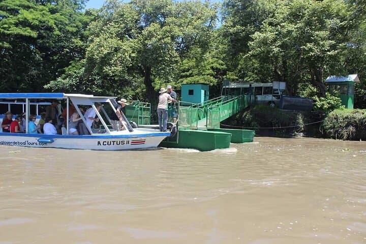Palo Verde River Jungle Safari: Tempisque Boat Tour from Liberia photo 6