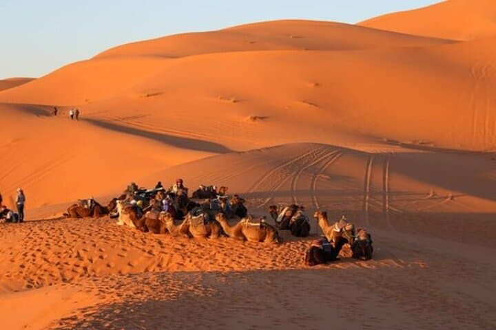 Tangier Day Tour: Cape Spartel, Caves of Hercules & Camel Ride photo 2