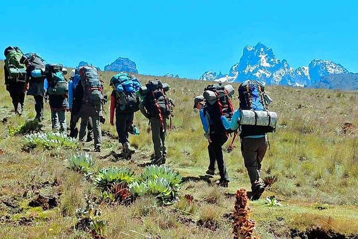 5-Day Mt Kenya Trek: Sirimon Route to Point Lenana Summit photo 3