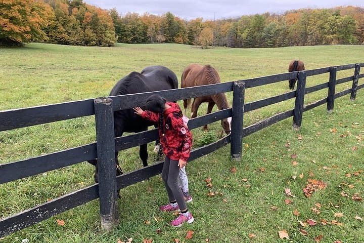 Greater Toronto DriveSpa Tour: Caledon Badlands, Kettle Lakes & Cidery Lunch photo 3