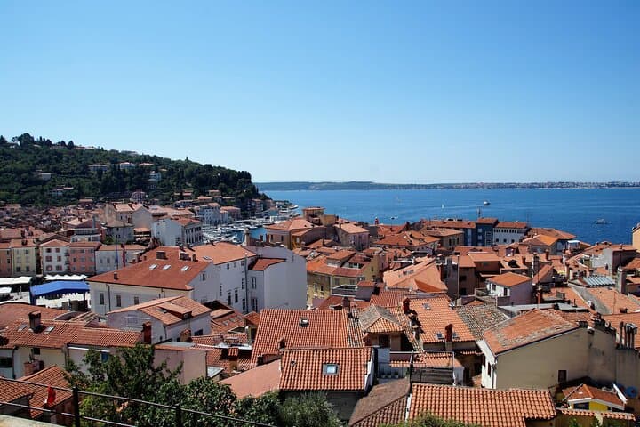 Piran and the Panoramic Slovenian Coast: Small-Group Day Tour from Koper photo 5