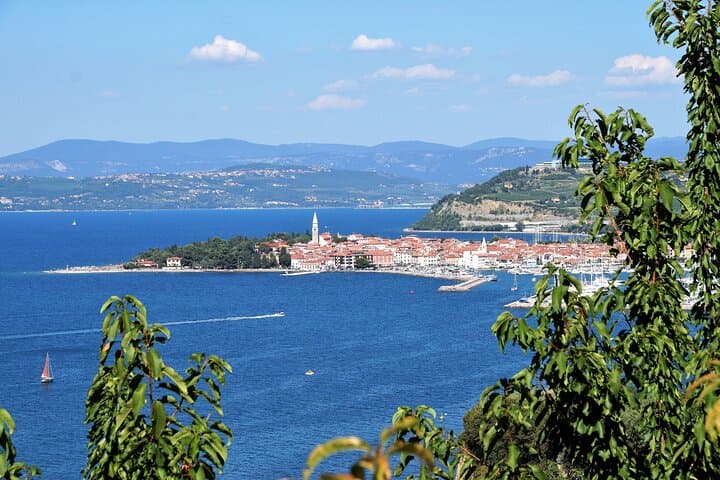 Piran and the Panoramic Slovenian Coast: Small-Group Day Tour from Koper photo 6
