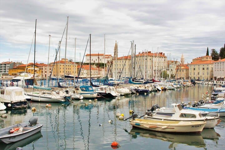 Piran and the Panoramic Slovenian Coast: Small-Group Day Tour from Koper photo 3