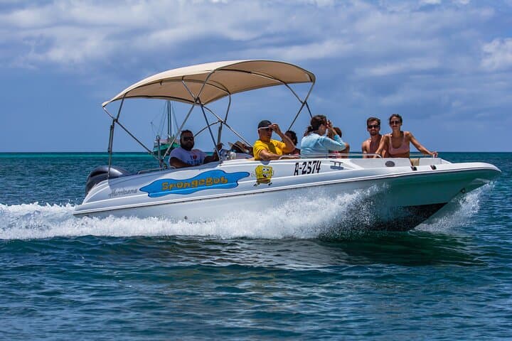Private Aruba Boat Cruise & Snorkel to the Antilla Wreck and Malmok Reef