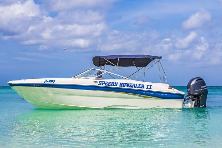 Private Aruba Boat Cruise & Snorkel to the Antilla Wreck and Malmok Reef photo 6