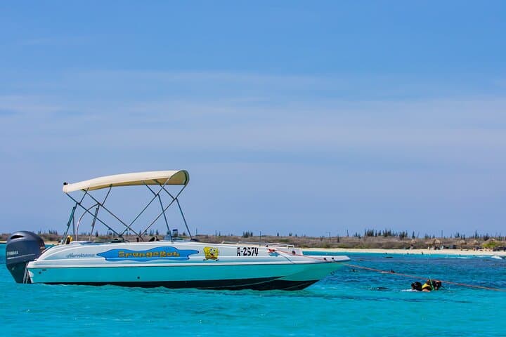 Private Aruba Boat Cruise & Snorkel to the Antilla Wreck and Malmok Reef photo 4