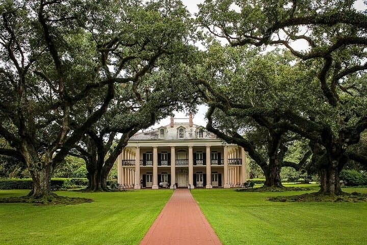 Oak Alley & Laura Plantation Private Tour from New Orleans — Double Plantation Day Trip