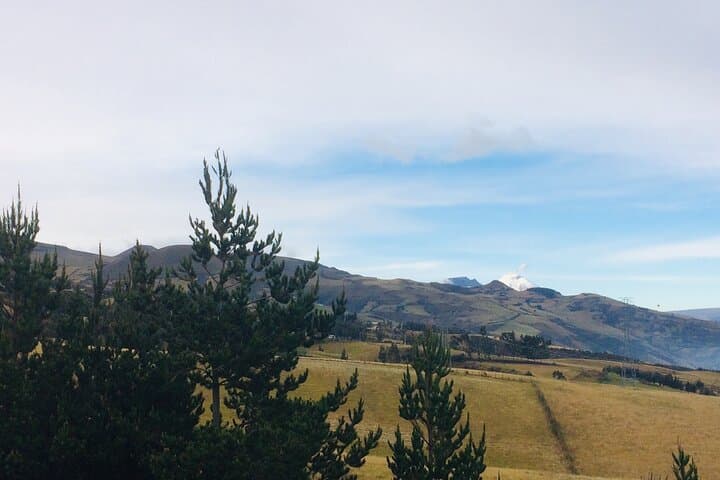 Highland Cooking & Roses: Private Day Trip from Quito to Otavalo photo 4