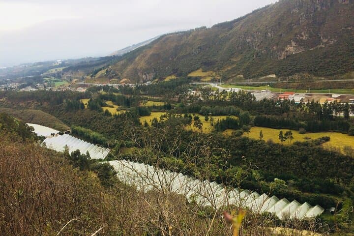 Highland Cooking & Roses: Private Day Trip from Quito to Otavalo photo 5