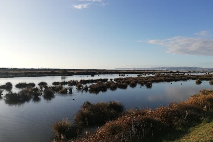 Napier 28km Self-Guided Scenic Winery Cycle - Hawke's Bay Coastal Trail photo 3