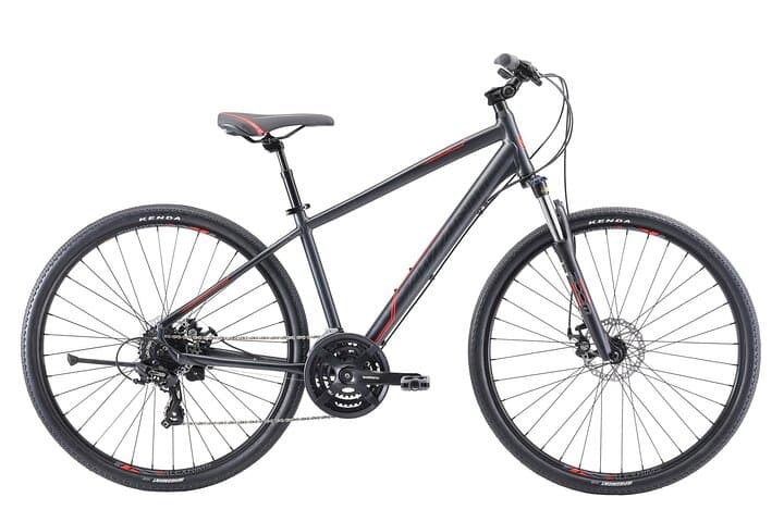 Explore Hawke’s Bay: Napier Pathway Bike Hire for Coastal, Wetland & Vineyard Rides photo 3
