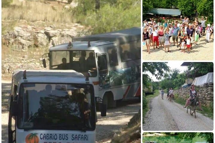 Cabrio Bus Safari to the Taurus Mountains & Seleukia from Side photo 4