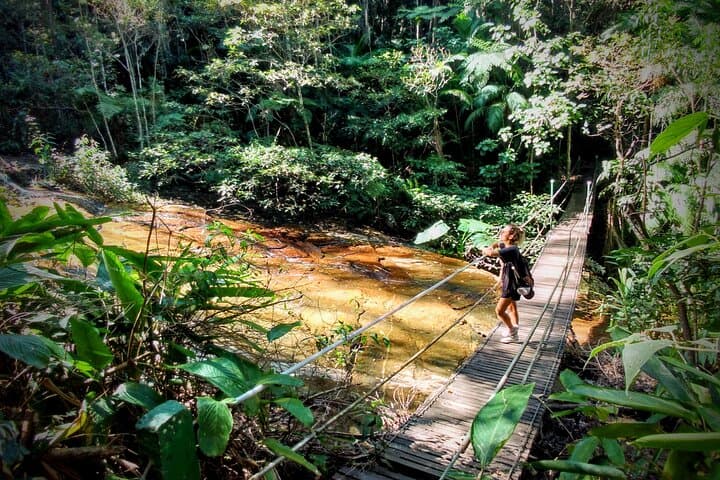 Tijuca Forest Hike: Waterfalls, Caves & Rio History