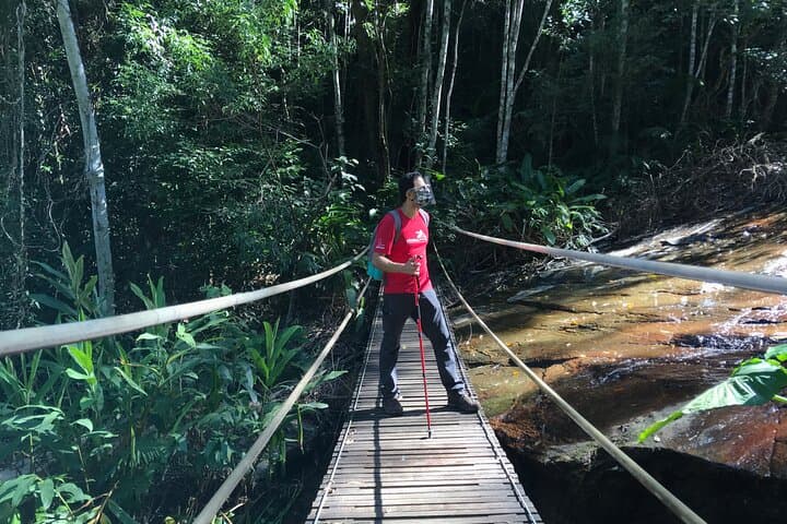 Tijuca Forest Hike: Waterfalls, Caves & Rio History photo 2