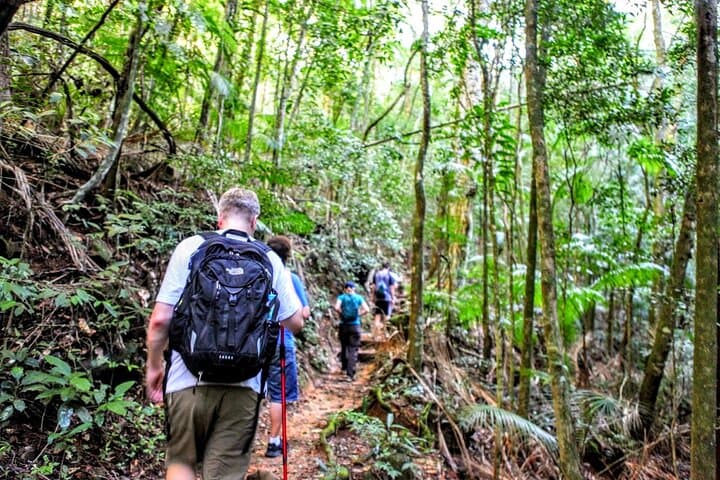 Tijuca Forest Hike: Waterfalls, Caves & Rio History photo 4