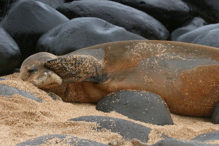 Creative Soul Scavenger Hunt in Hanapepe — Interactive Art & Storytelling Walk on Kauai photo 3