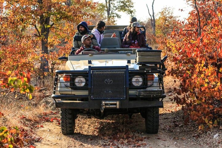 Full-Day Big 5 Safari from Hazyview — Kruger Big Five Game Drive Guide photo 6