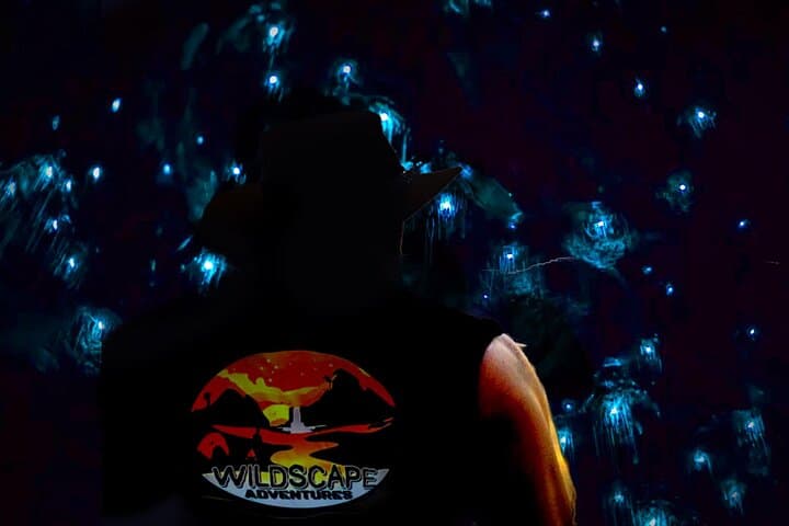 Blue Mountains Glow Worm Night Hike to Cave & Waterfall